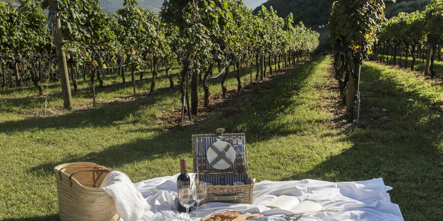 PICKNICK IM WEINBERG